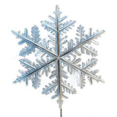 Detailed Silver Snowflake Crystal Isolated on White Background for Winter Design