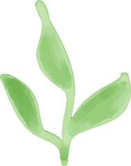 watercolor style green leaf branch floral bush sprout clover seamless pattern on white background