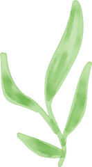 watercolor style green leaf branch floral bush sprout clover seamless pattern on white background