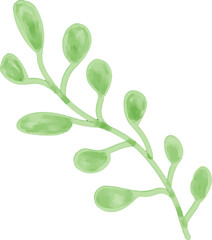 watercolor style green leaf branch floral bush sprout clover seamless pattern on white background