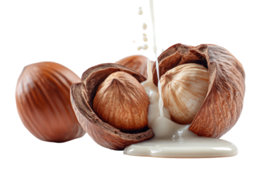 Hazelnuts in shell with creamy liquid pouring over a nut. Isolated on black