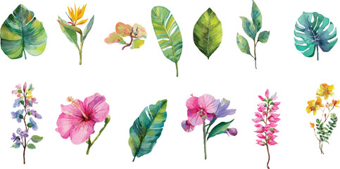 set of colorful leaves