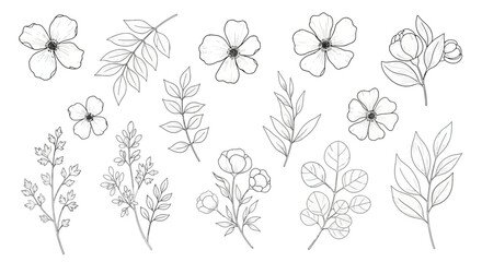 Elegant Line Art Collection Delicate Flowers and Leaves for Creative Design Projects