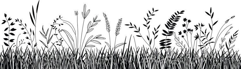 Wild meadow grass silhouettes, botanical plant illustration border, natural floral foliage design, detailed vector line art collection for nature-themed graphics © Ideasy Mind