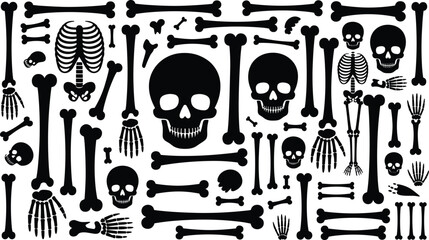 Human skeleton bones, skulls, rib cages, femurs, tibias, anatomical silhouettes, medical illustration, Halloween design, anatomy art, bone structure elements
