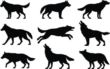 Wolf silhouette collection featuring running, walking, standing and howling poses, wild animal vector set for nature, wildlife, forest themed designs
