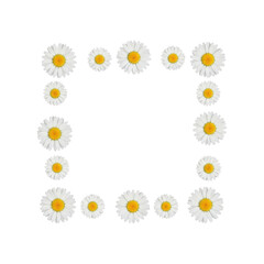 White daisy flower border isolated on transparent background