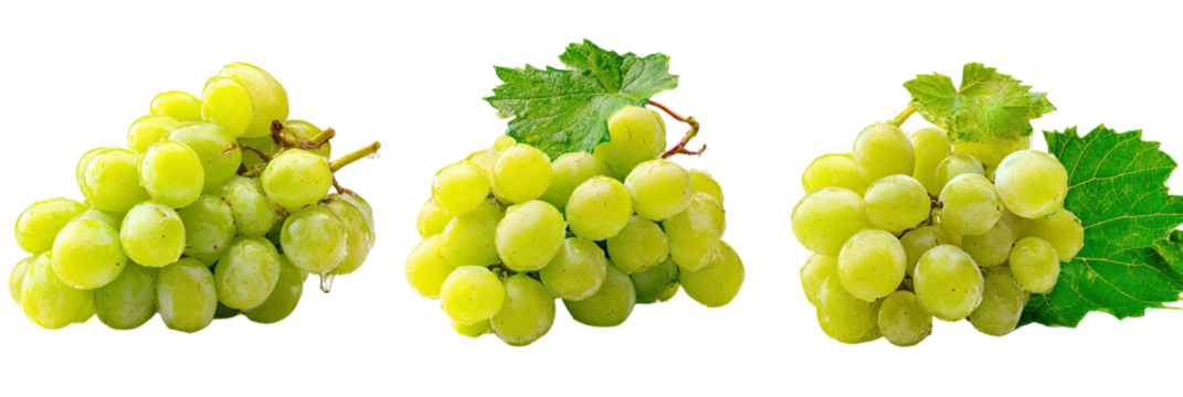Three bunches of translucent green fruit, some with leaves, against a black background