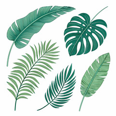 Minimalist tropical leaf vector set featuring palm, monstera, and banana leaf silhouettes, crisp edges and clean white background for modern design use.