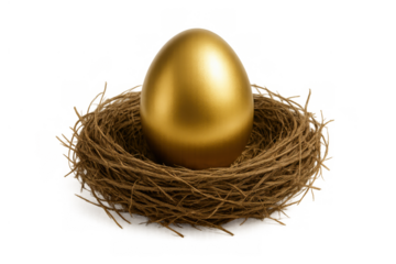 Golden egg nestled in a birds nest, representing concepts of financial growth, savings, retirement planning, and strong investments