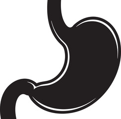 Fototapeta premium Clear vector illustration of the human stomach, a key digestive organ essential for overall health. This anatomical graphic portrays internal physiology, critical for medical and educational content.