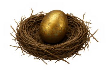 Golden egg in a nest, concepts of wealth, investment, savings, retirement, security, and growing assets