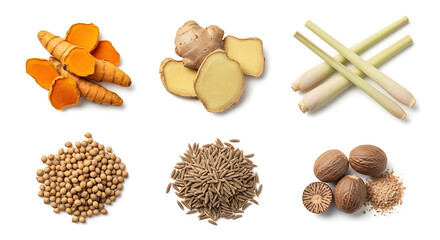 Variety of spices turmeric ginger lemongrass coriander cumin and nutmeg
