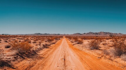 A long, unpaved road cuts through a vast desert landscape filled with shrubs and mountains in the distance. The bright blue sky enhances the dry, warm environment.