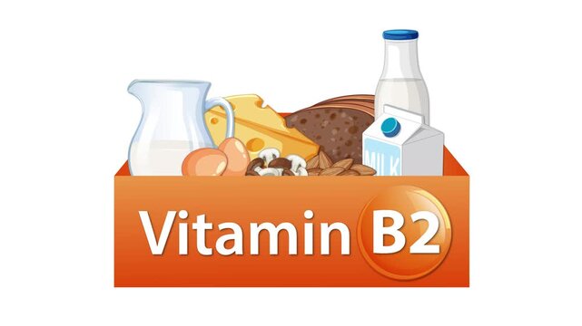 Vitamin B2 Sources Animation With Dairy, Eggs, Cheese, and Bread