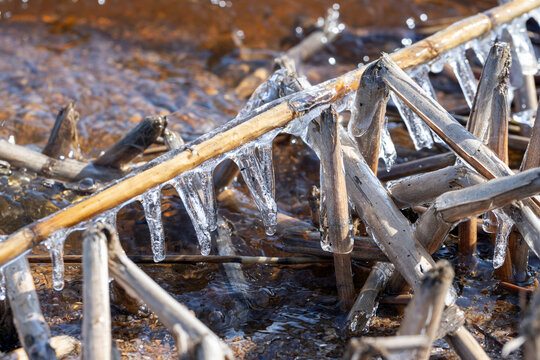 A close-up of jagged icicles hanging from dry reed stems along a icy riverbank - Powered by Adobe