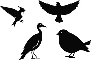 Fototapeta premium Bird silhouettes, flying bird, standing bird, heron shape, sparrow icon, wildlife vector, avian posture, black shape, nature, isolated
