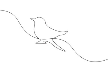 Bird couple continuous one line drawing minimalist outline vector illustration

