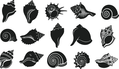 Black and white seashell silhouette vector collection, marine shell illustration set, ocean conch, clam, scallop, spiral shell, decorative design