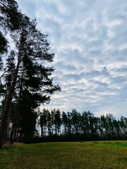 Fototapeta premium early morning landscape 