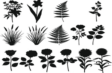 Botanical plant silhouette illustration, flower vector design, rose sunflower fern cattail, decorative foliage artwork, black nature graphic, minimal floral art collection