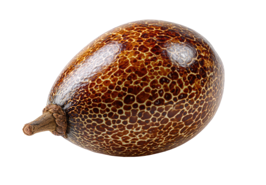 Textured brown, oval-shaped object with a woody stem