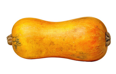 Golden elongated squash with textured orange skin, top view