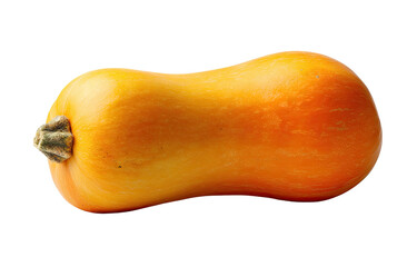 A ripe, oblong, orange and yellow squash with a stem