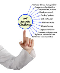 Presenting Twelve  IT Security Challenges