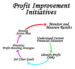 Profit Improvement