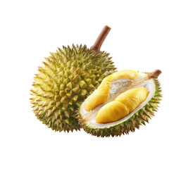 Fototapeta premium Spiky exotic fruit, one whole and one opened revealing yellow flesh