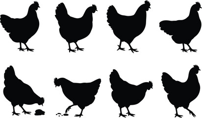 Chicken silhouette set, poultry vector icons, farm animal poses, black chicken shapes, walking pecking standing, livestock clipart bundle