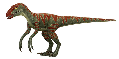 Illustration of a detailed velociraptor dinosaur.