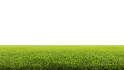 Lush Green Grass Field Under Clear Blue Sky on Bright Sunny Day