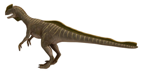 Realistic dinosaur model in side view