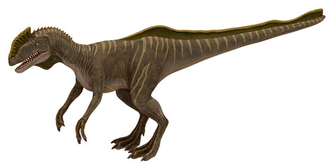 Realistic 3D rendering of a sail-backed dinosaur.