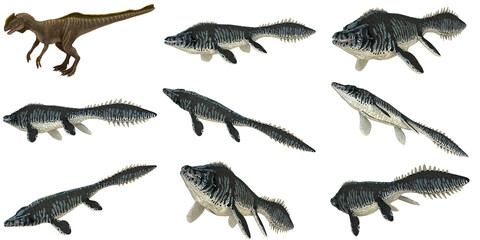 Illustrations of marine reptile and dinosaur species