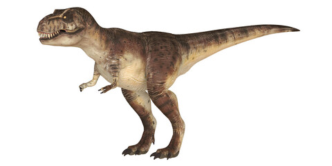 Realistic Tyrannosaurus rex illustration