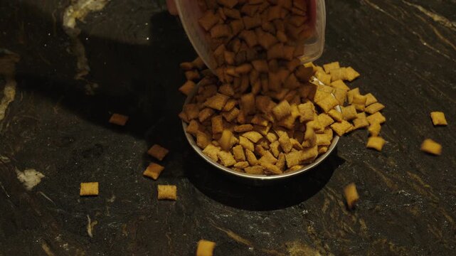 A bowl is being overfilled with pet food, symbolizing unhealthy feeding habits, obesity, and the importance of balanced nutrition for animals.