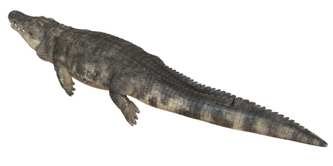 Realistic 3D rendering of a crocodile on a white background.