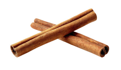 Two dried bark quills crossed on black