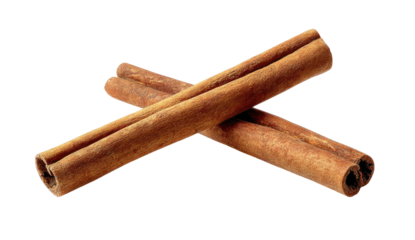 Two dried bark quills crossed on black