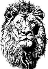 Head lion black and white illlustration 