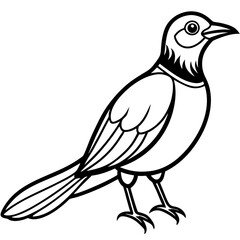 Obraz premium sketch of a bird