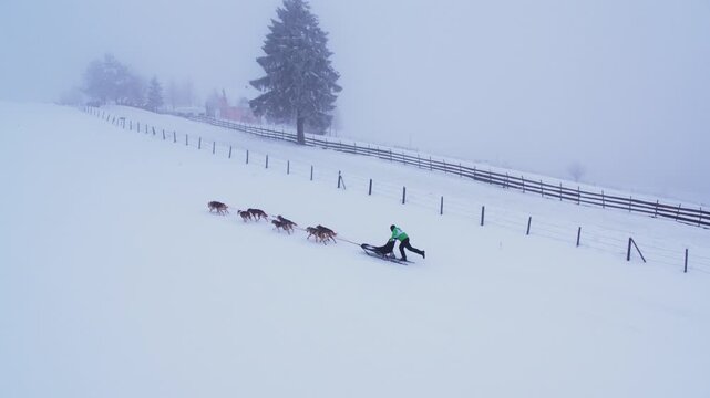 Drone shot of a musher and a pair of huskies dogs pulling a sled up a hill in dense fog, passing a wooden fence.