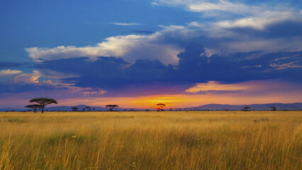 Sunset over endless savanna with silhouetted trees and glowing horizon