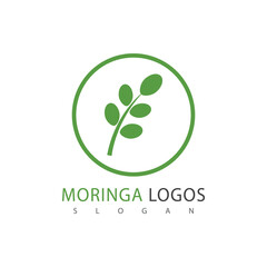 Leaf moringa logo herbal symbol