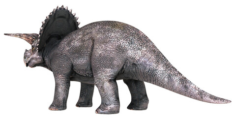 Styracosaurus dinosaur with spiked frill. © Ilie