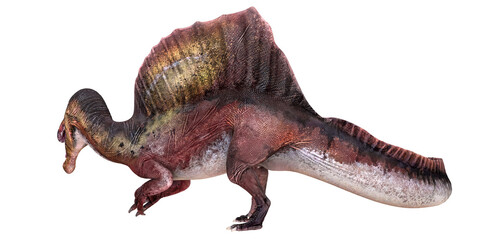 Spinosaurus dinosaur on a white background