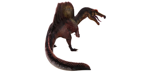 Fototapeta premium Majestic Spinosaurus on a white background